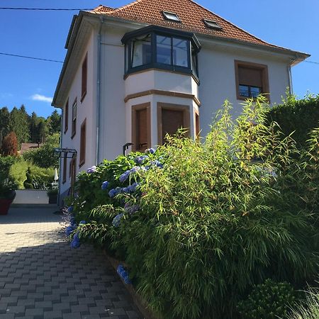 Les Magnolias En Alsace - Meuble De Tourisme 3 Etoiles Apartment Barembach Luaran gambar