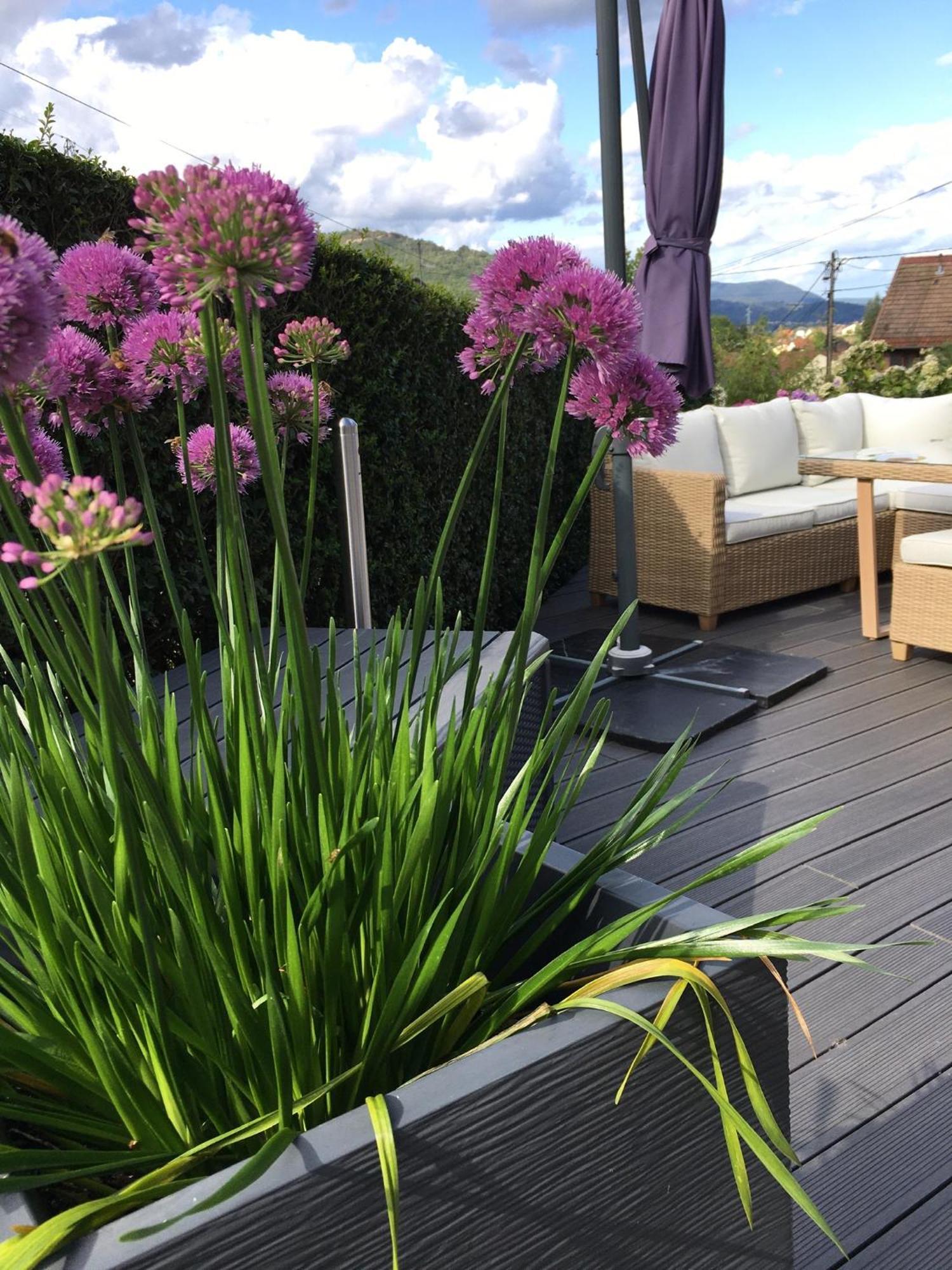 Les Magnolias En Alsace - Meuble De Tourisme 3 Etoiles Apartment Barembach Luaran gambar