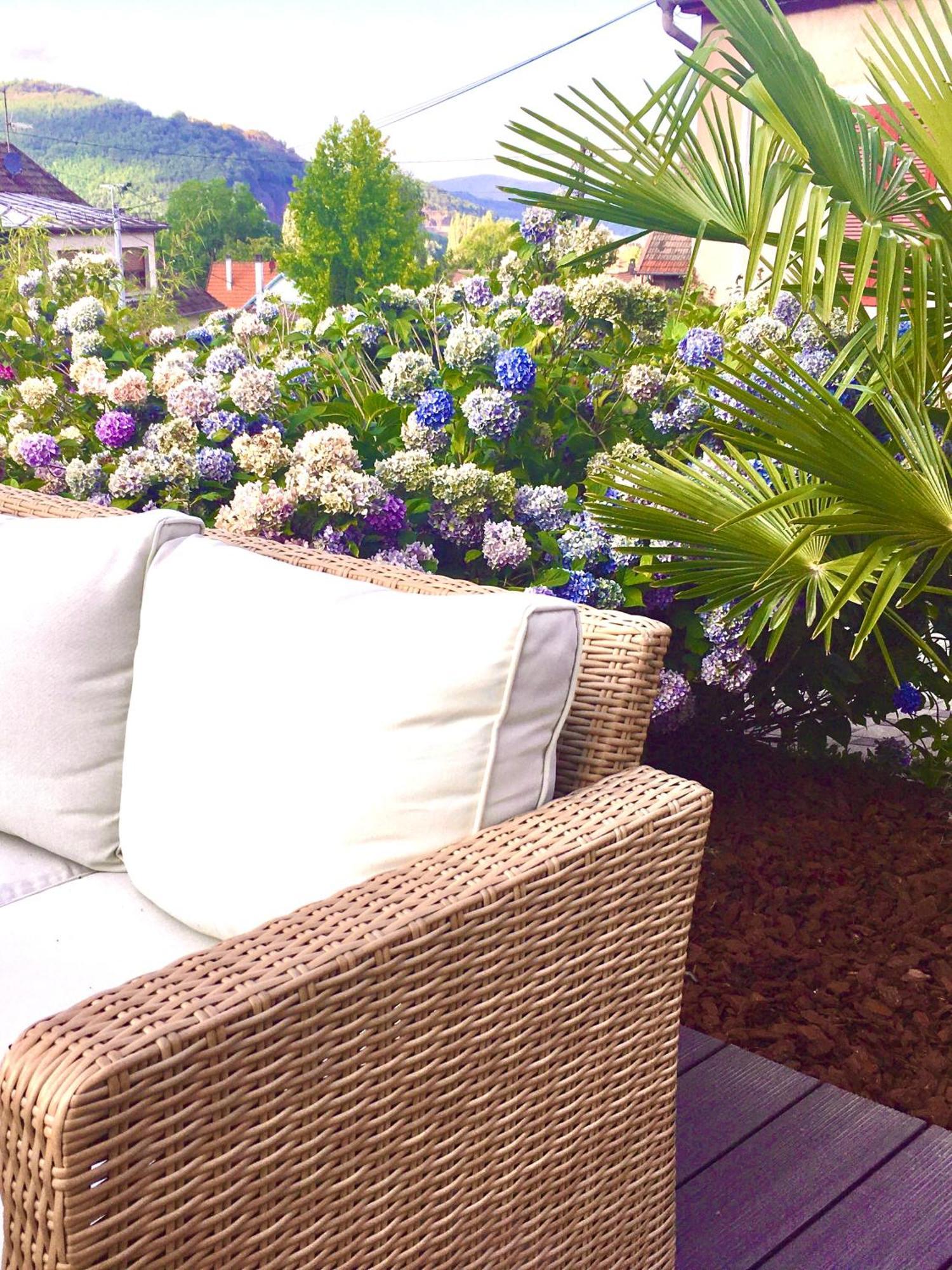 Les Magnolias En Alsace - Meuble De Tourisme 3 Etoiles Apartment Barembach Luaran gambar