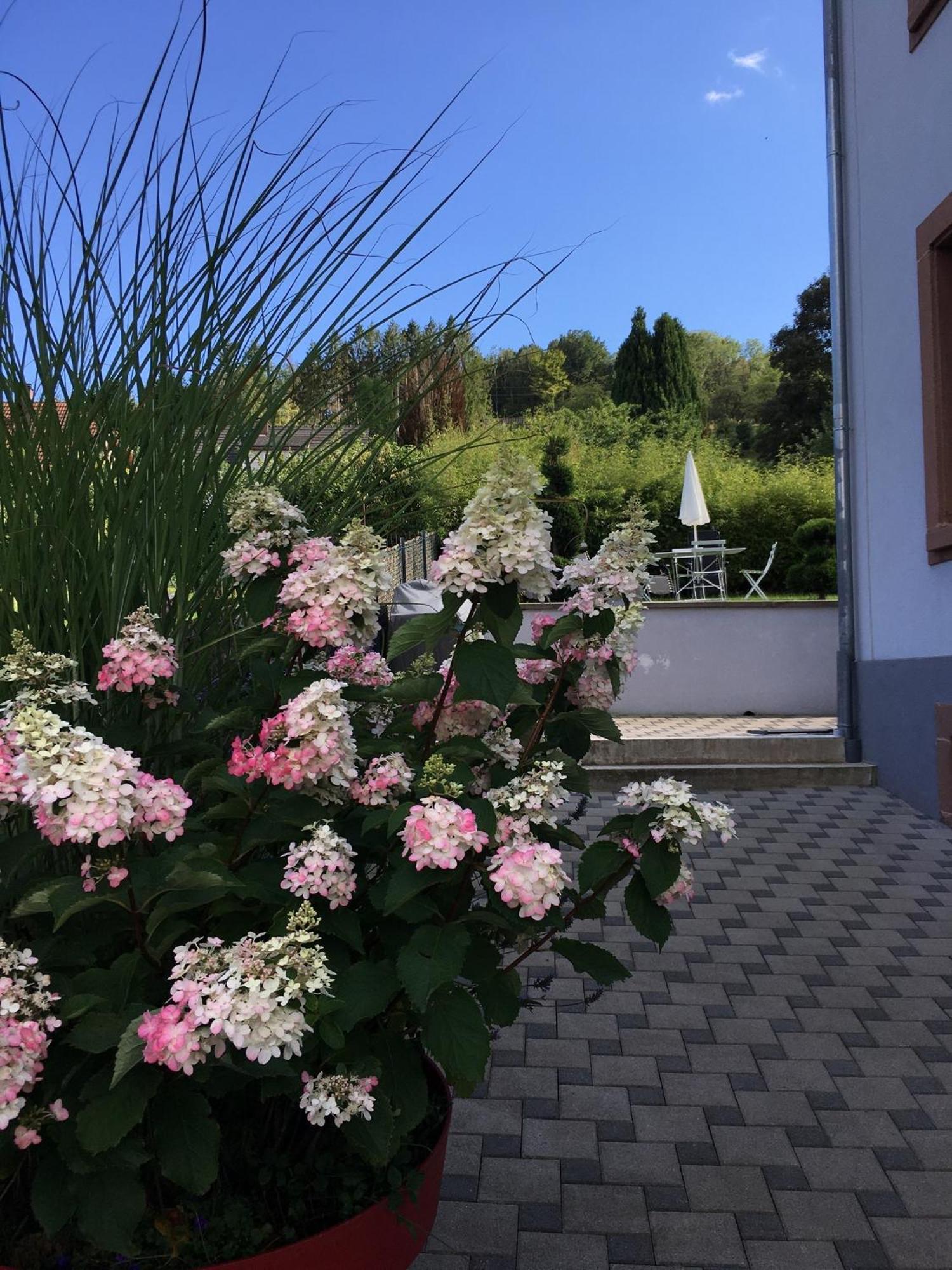 Les Magnolias En Alsace - Meuble De Tourisme 3 Etoiles Apartment Barembach Luaran gambar