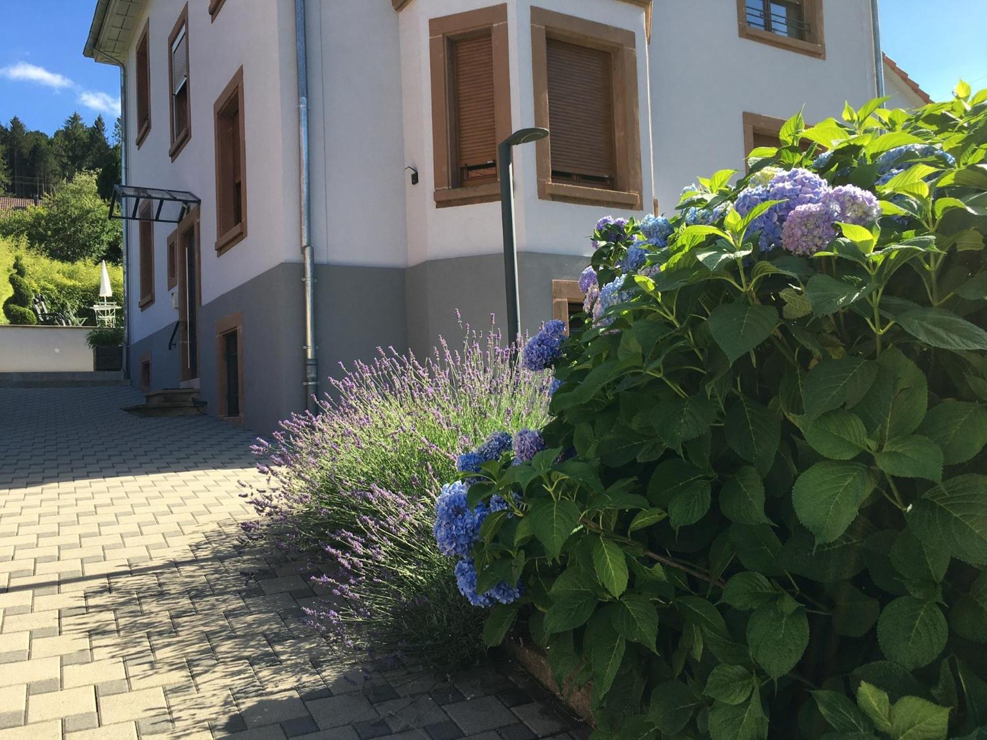 Les Magnolias En Alsace - Meuble De Tourisme 3 Etoiles Apartment Barembach Luaran gambar