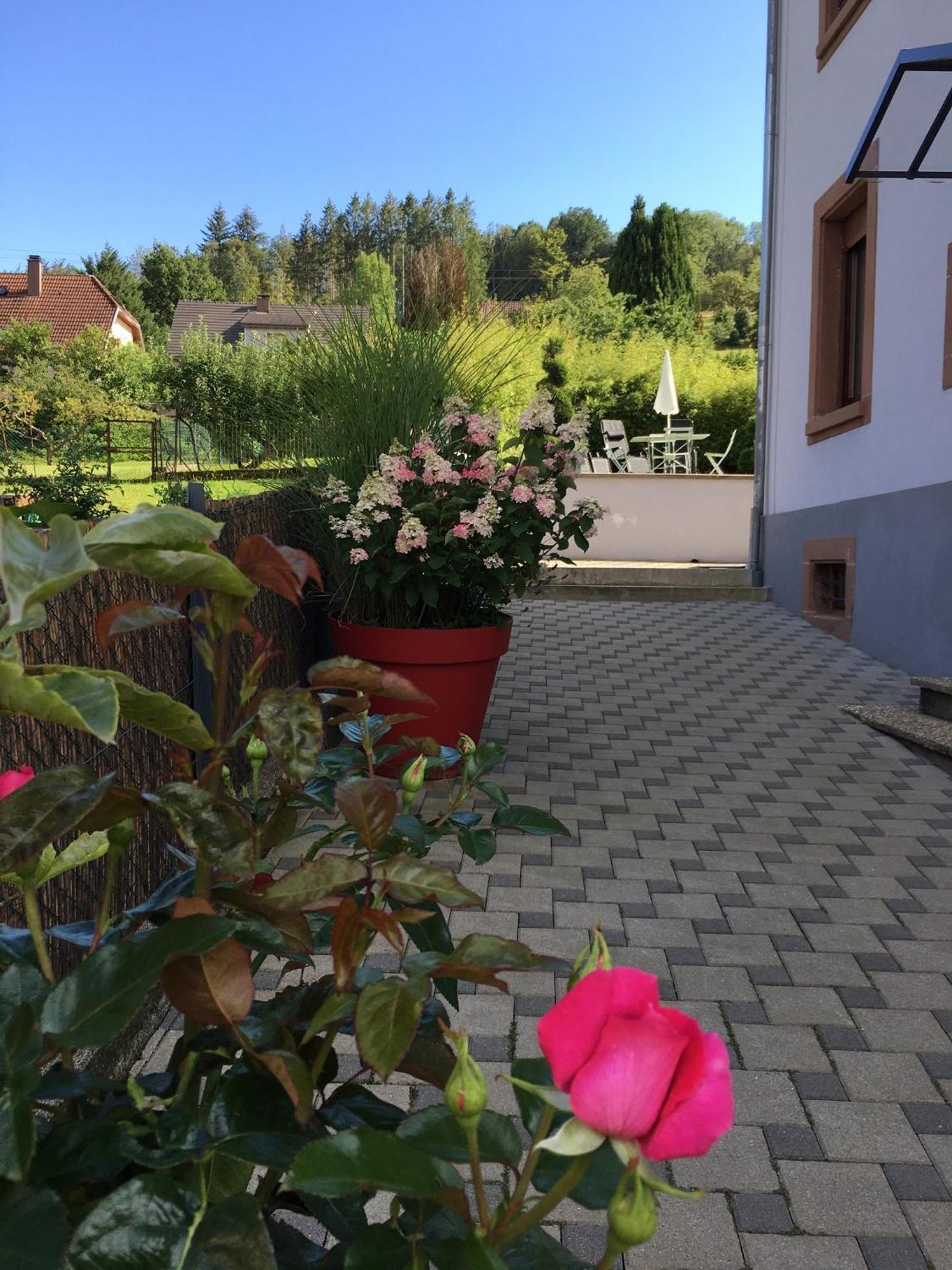 Les Magnolias En Alsace - Meuble De Tourisme 3 Etoiles Apartment Barembach Luaran gambar