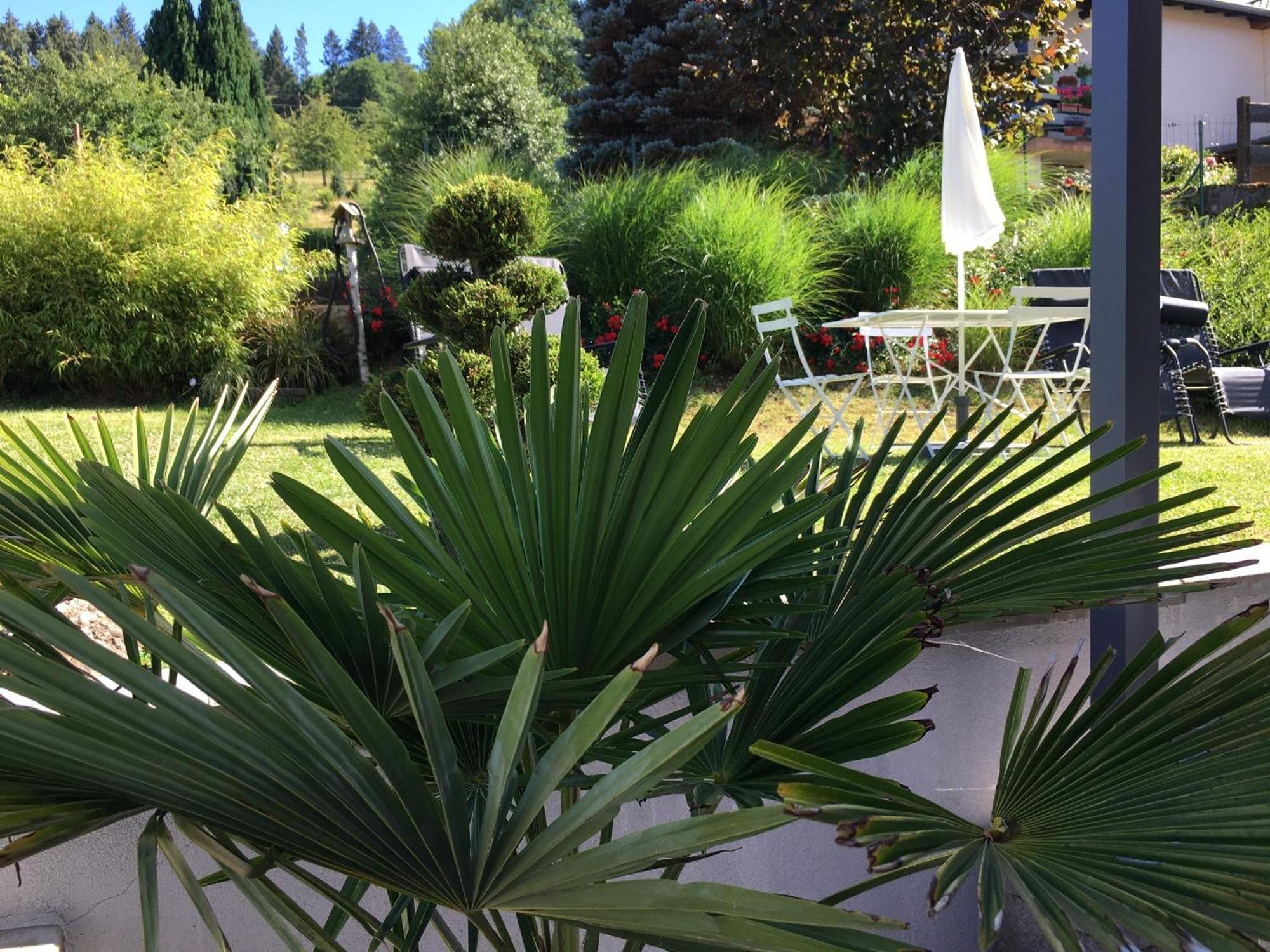 Les Magnolias En Alsace - Meuble De Tourisme 3 Etoiles Apartment Barembach Luaran gambar