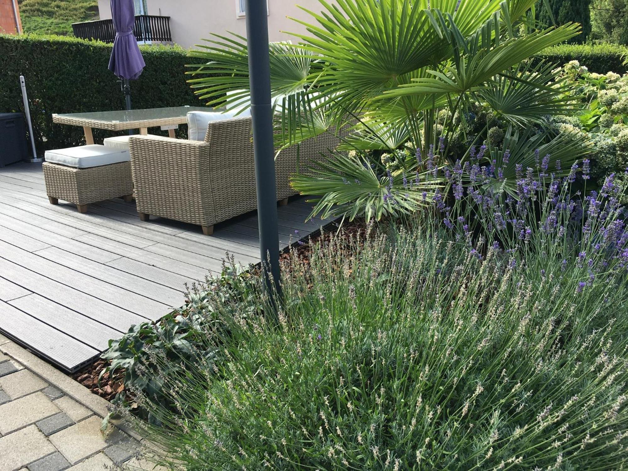 Les Magnolias En Alsace - Meuble De Tourisme 3 Etoiles Apartment Barembach Luaran gambar